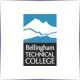 Bellingham Technical College - Electrical School Ranking