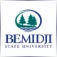 Bemidji State University - Electrical School Ranking