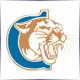 Clinton Community College - Electrical School Ranking