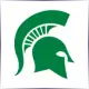 Michigan State University - Electrical School Ranking