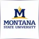 Montana State University - Electrical School Ranking