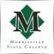 Morrisville State College - Electrical School Ranking