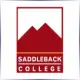 Saddleback College - Electrical School Ranking