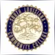 South Louisiana Community College - Electrical School Ranking